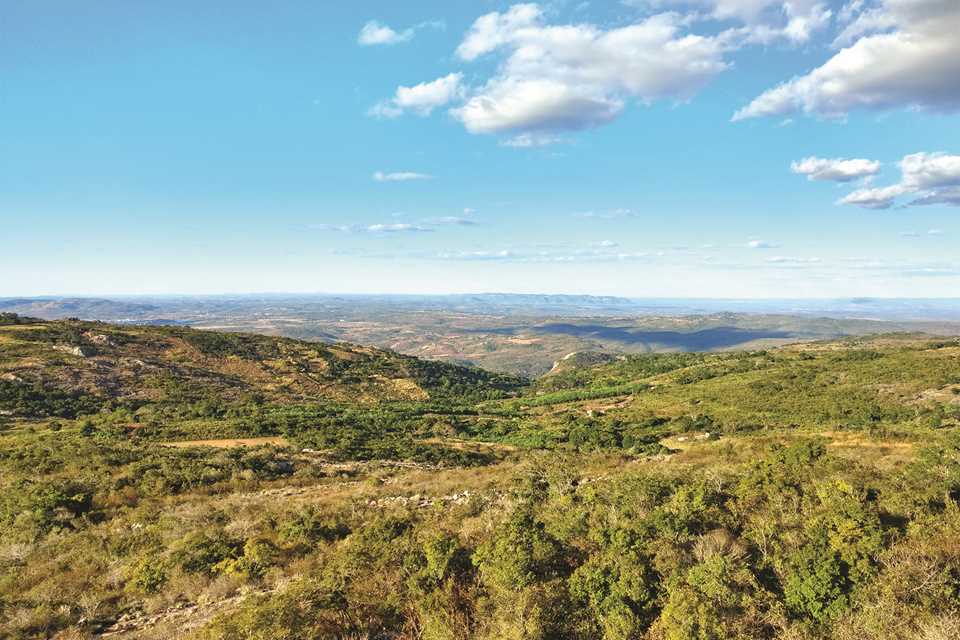 Pico do Papagaio