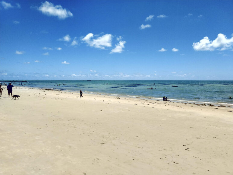 Praia de Ponta de Pedras, Litoral Sul de Pernambuco